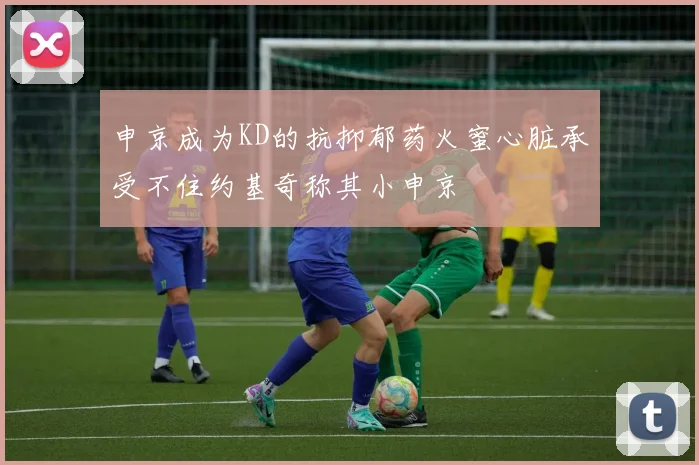 申京成为KD的抗抑郁药火蜜心脏承受不住约基奇称其小申京
