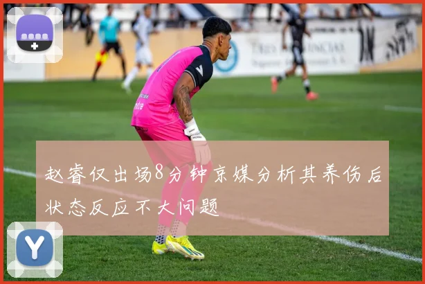 赵睿仅出场8分钟京媒分析其养伤后状态反应不大问题