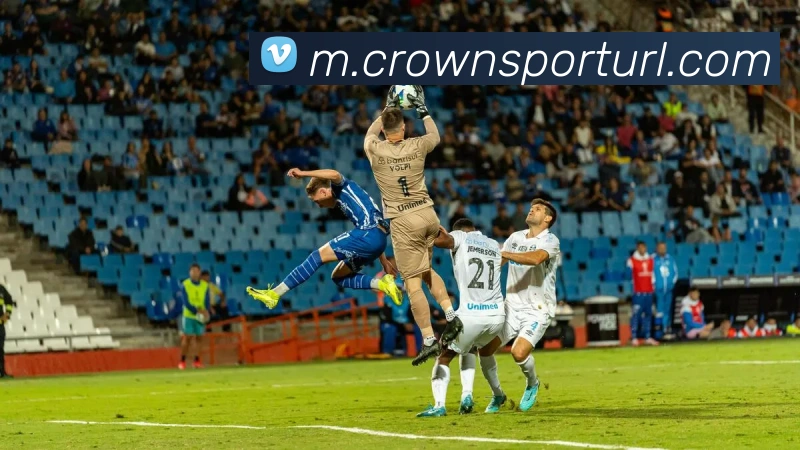 皇冠体育平台生态图